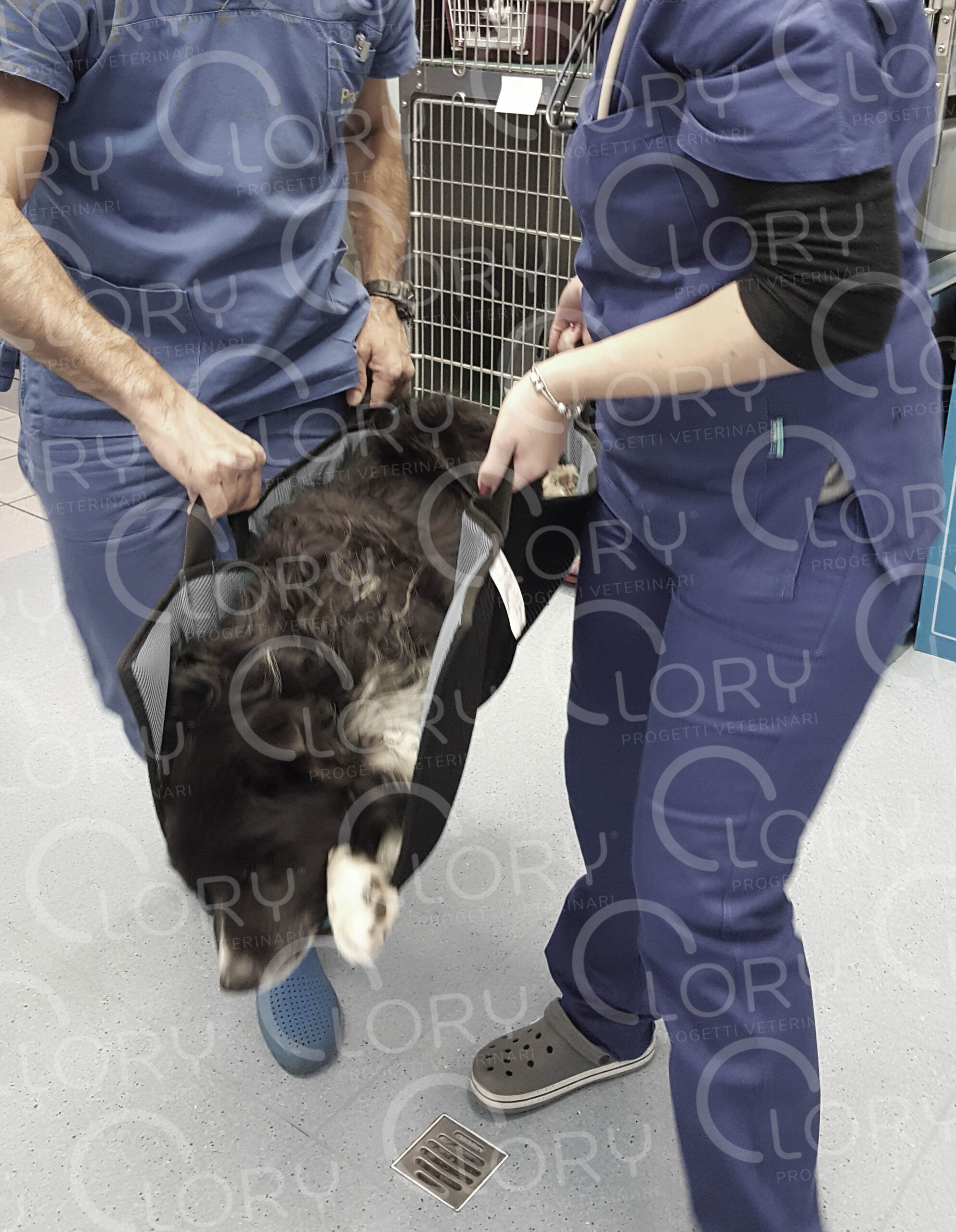 "Mattress" stretcher - Image 4