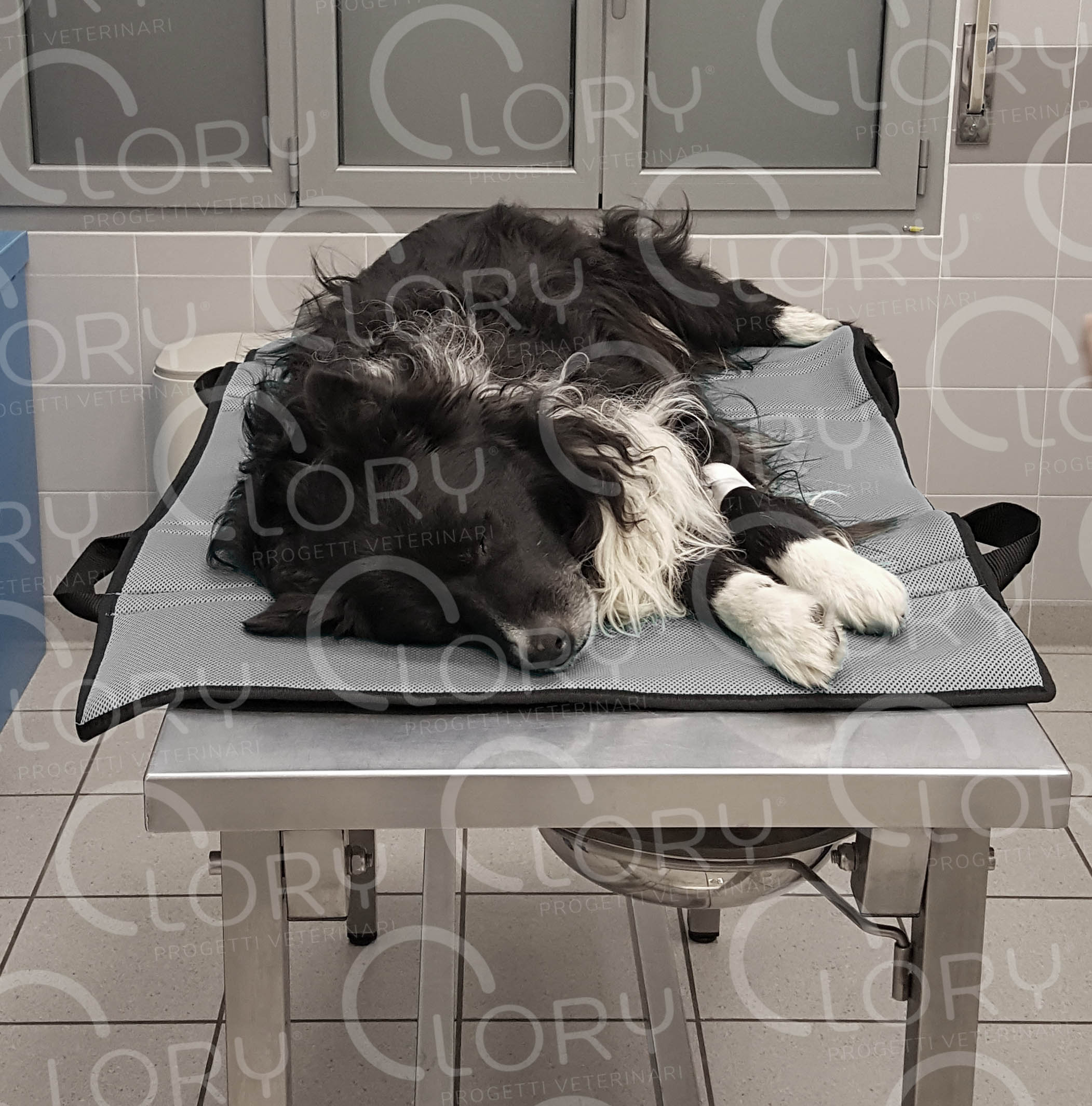 "Mattress" stretcher - Image 5