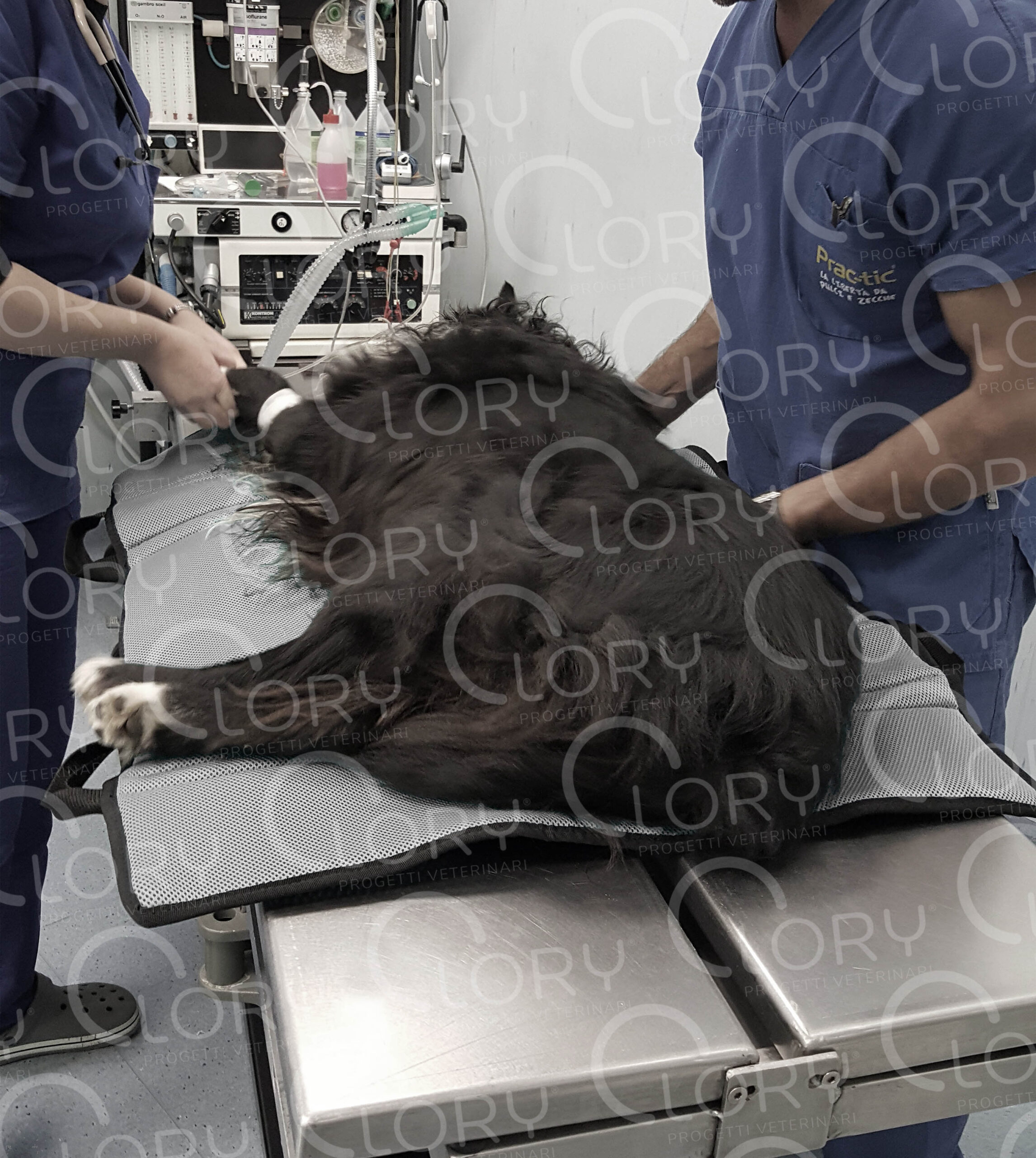 "Mattress" stretcher - Image 6