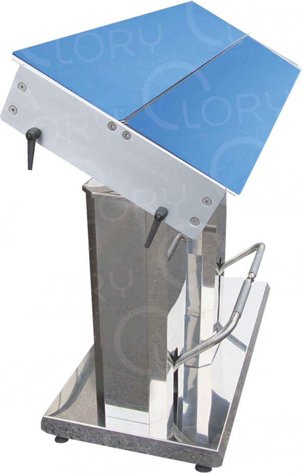 Carly Hydraulic Table for Veterinary Orthopedics | Lory Progetti Veterinari