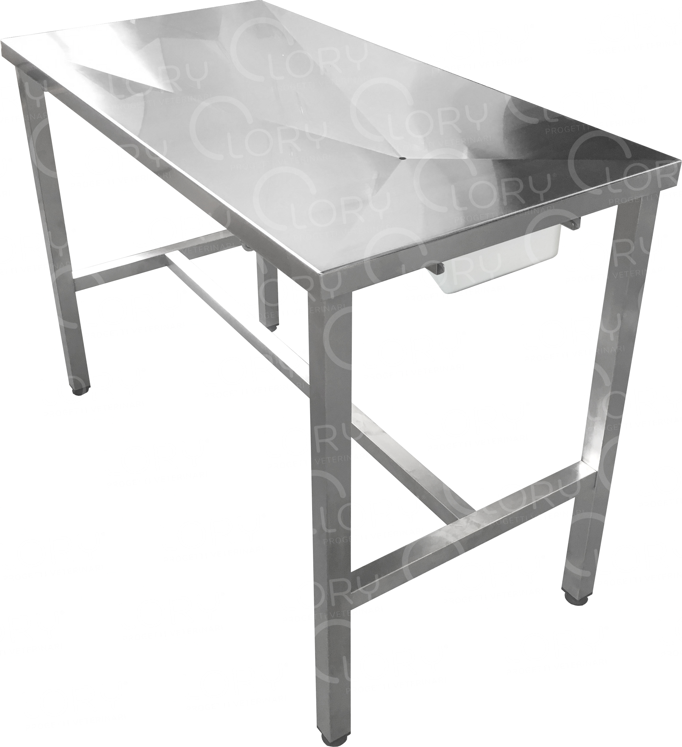 AISI 304 stainless steel fixed veterinary examination table with liquid collection tray mod. Planner Small