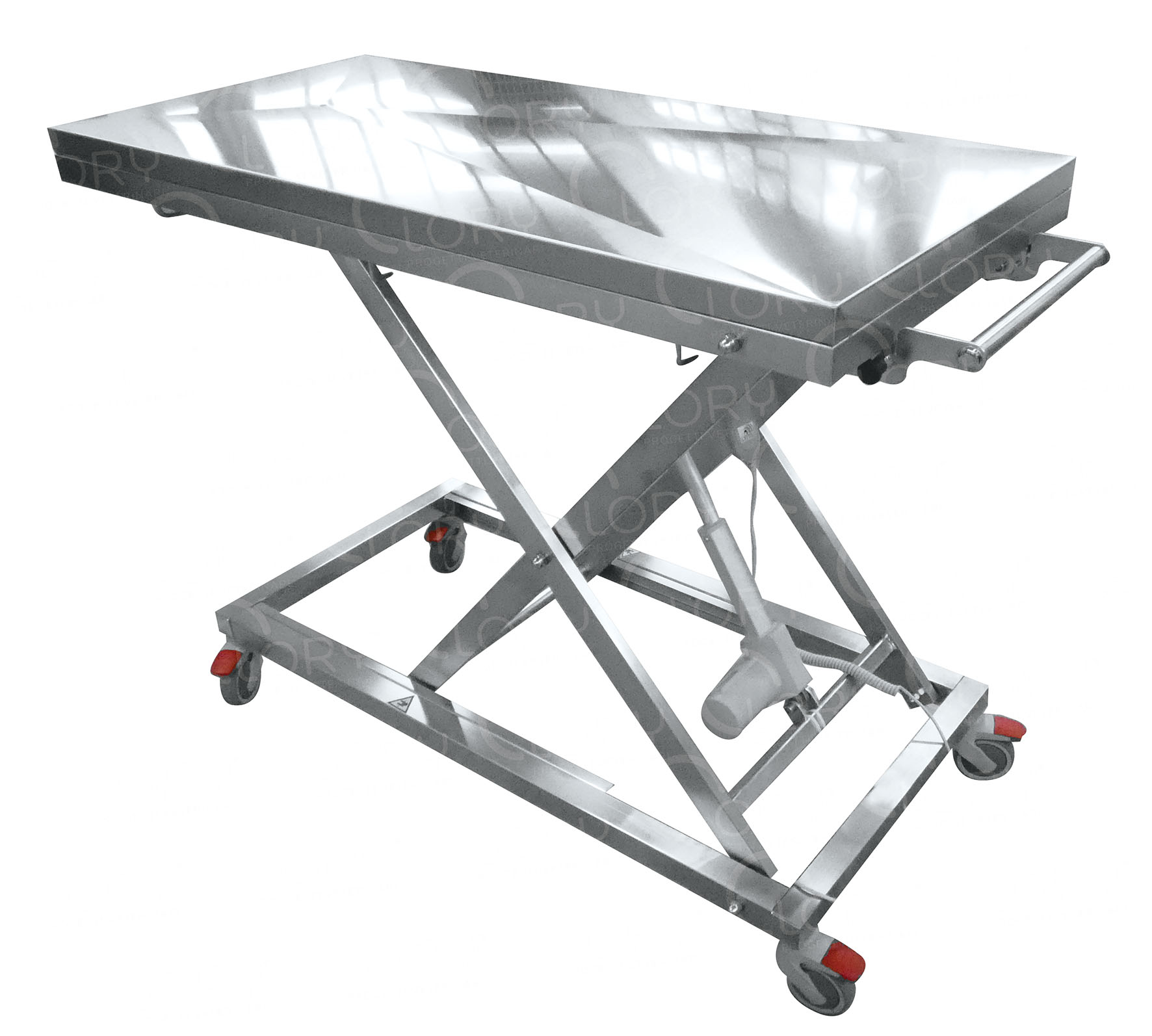 Tavolo Elettrico Veterinario da Visita a 1 Movimento con Piano in Acciaio Inox AISI 304 mod. Flex