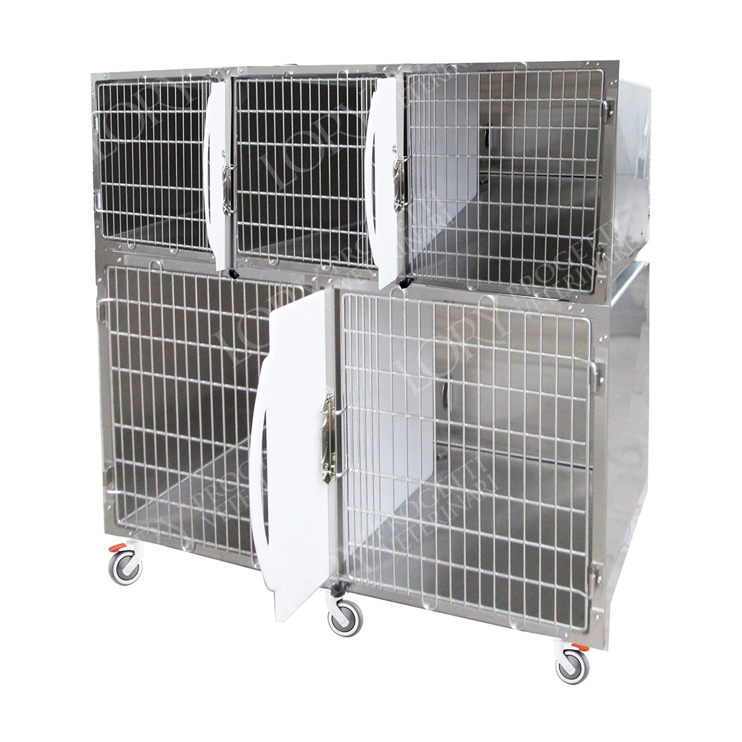 Gabbia degenza standard 5 posti