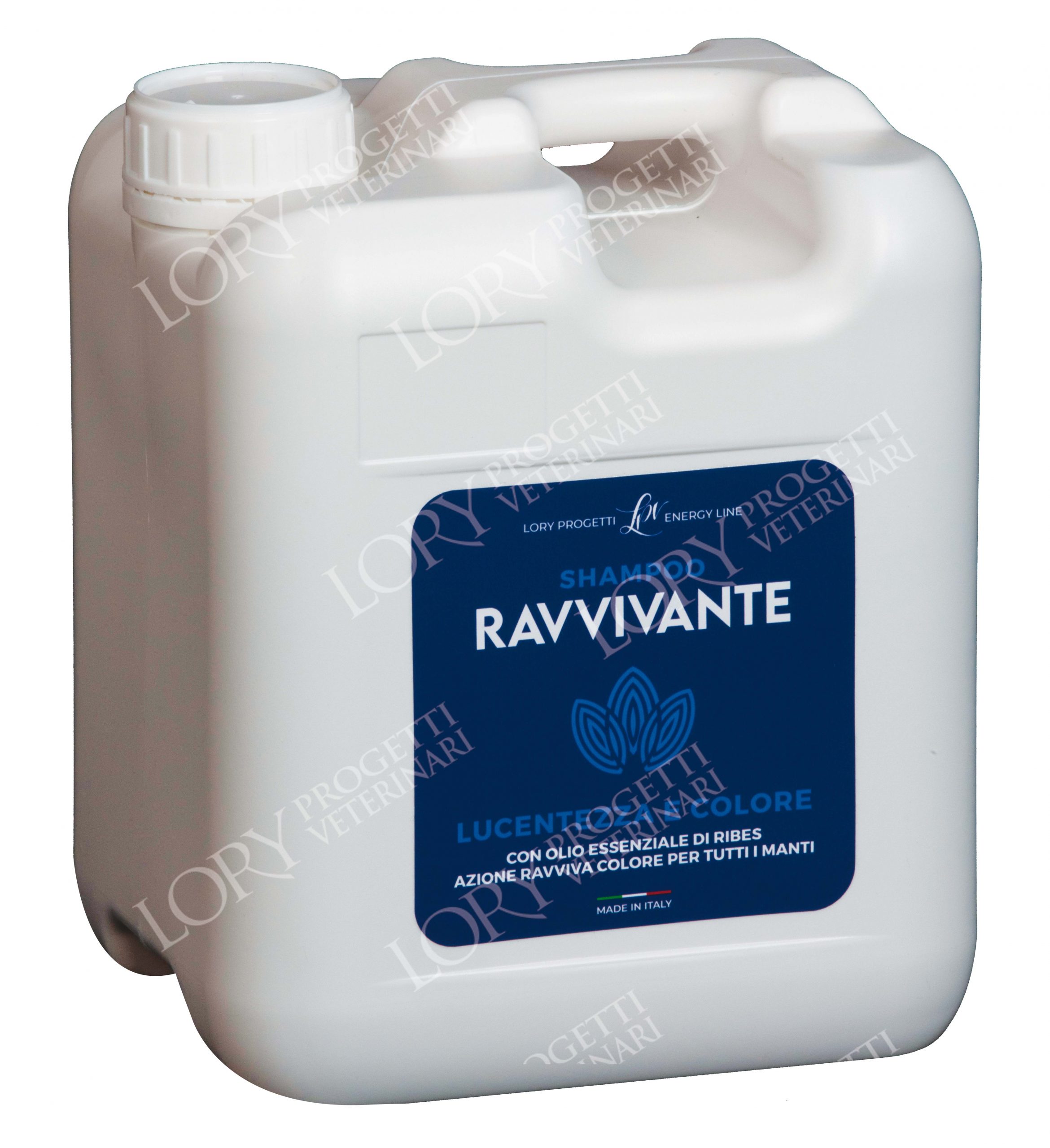 Shampoo reviving 5-liter can.