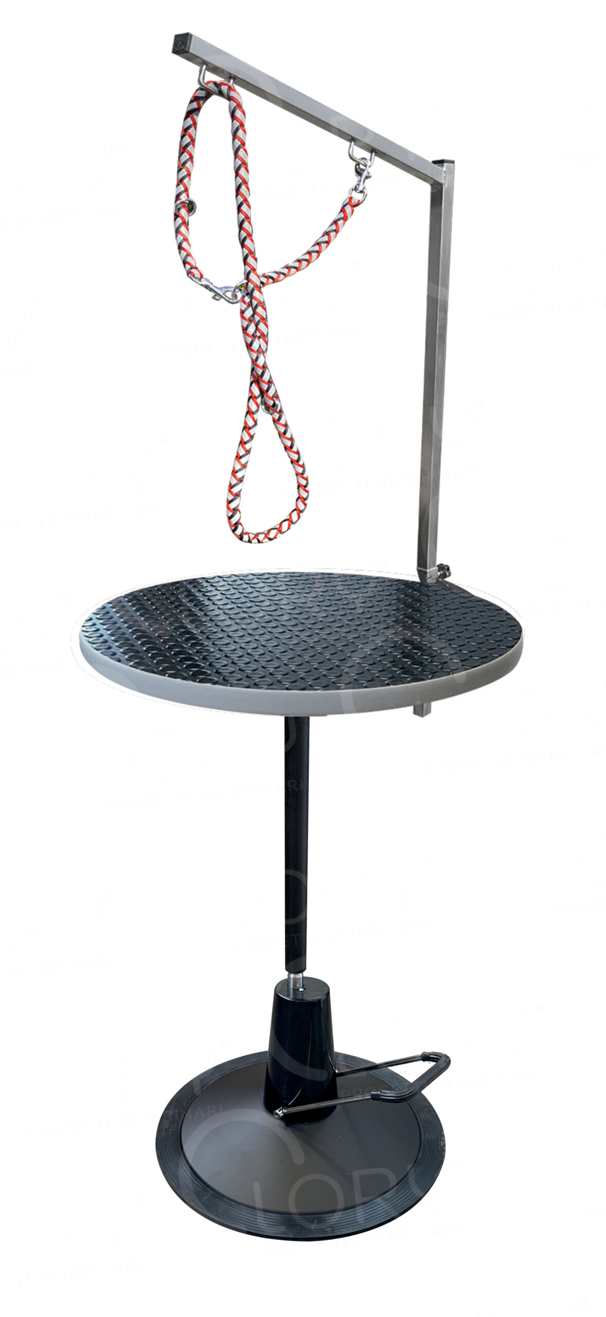 Tavolo da toelettatura mod. Dairet2