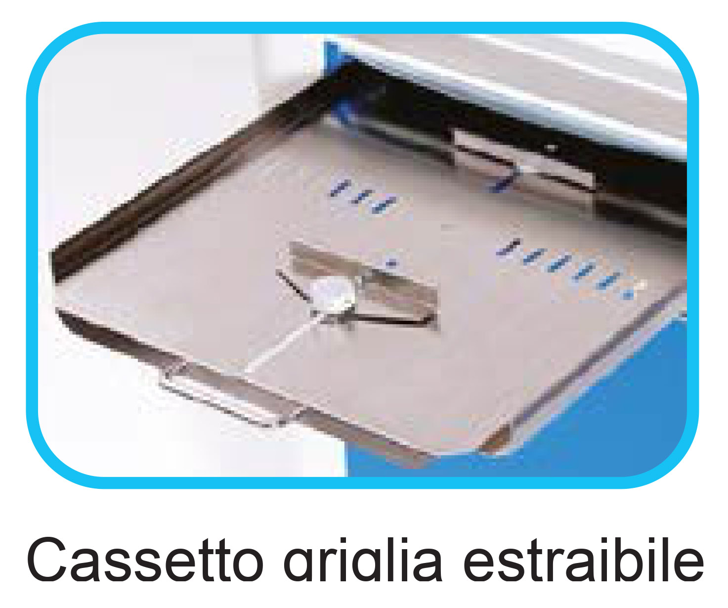 Radiologico diretto - immagine 3