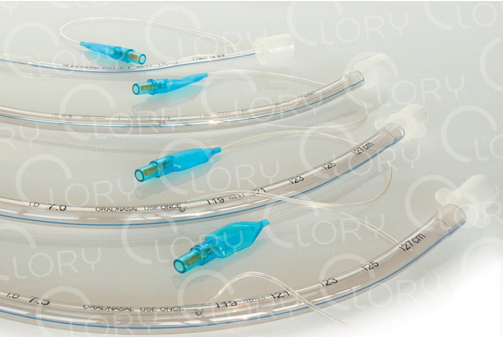 Tracheal tubes