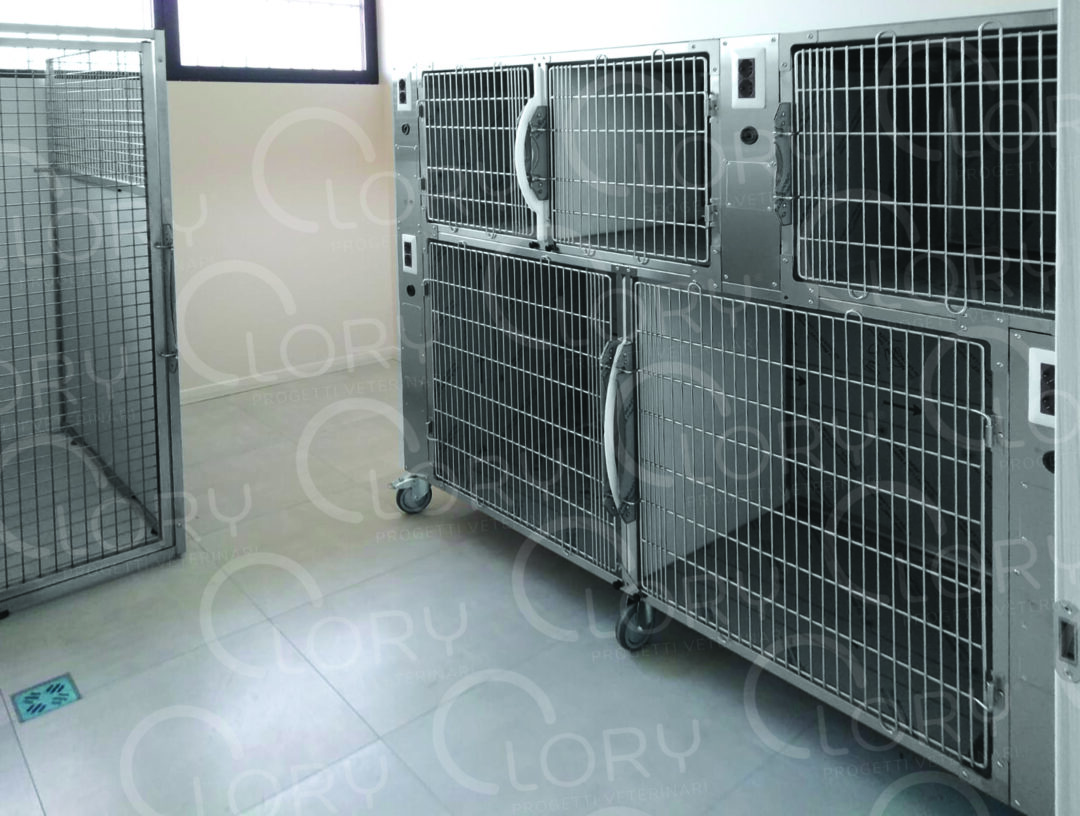 Gabbia degenza veterinaria standard 8 posti in acciaio inox - immagine 4